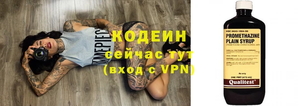 твердый Бородино