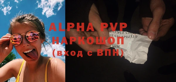 твердый Бородино