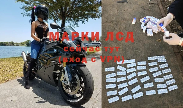 хмурый Сатка