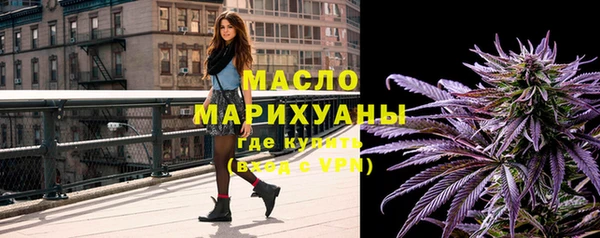 индика Вязники