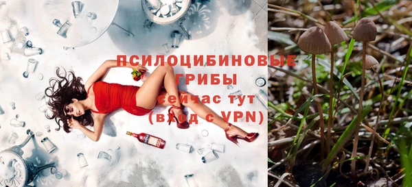 эйфоретик Саяногорск