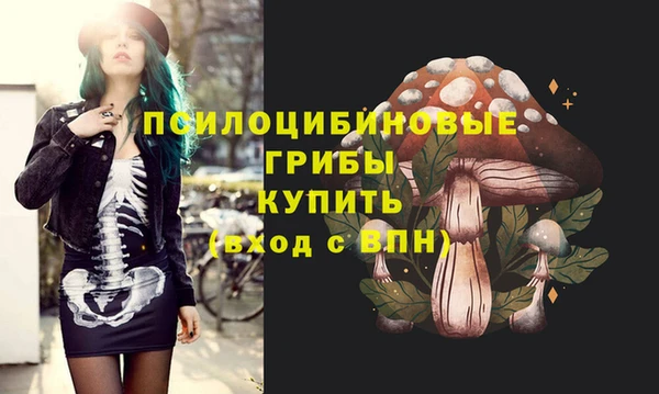 spice Горняк