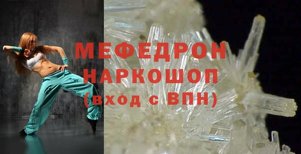 гашик Вяземский